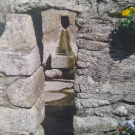 St Mullins Camping Room photo